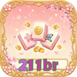 211br